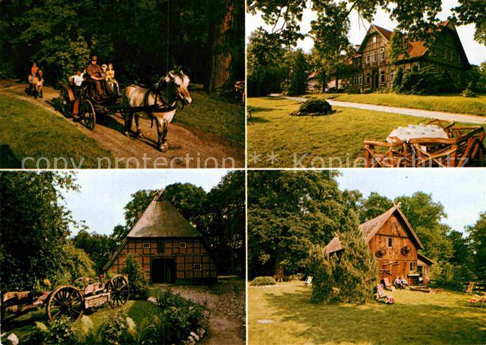 Bomlitz Juergenshof Pferdekutsche