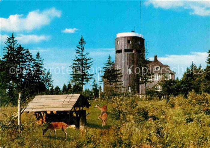 Astenturm Hochsauerland Wild und Turm