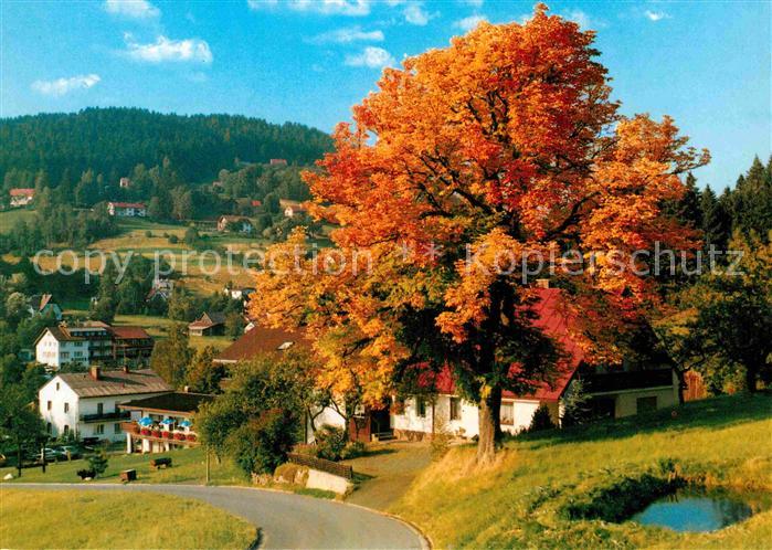 Warmensteinach im Fichtelgebirge