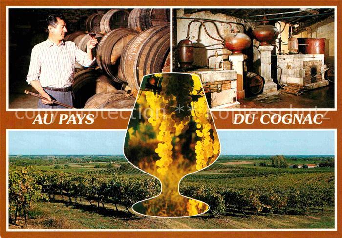 Cognac Charente Maitre de chai det distillerie de Cognac
