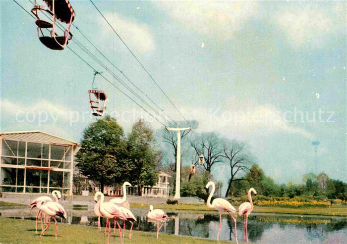 Bundesgartenschau Koeln Flamingoteich Sesselbahn