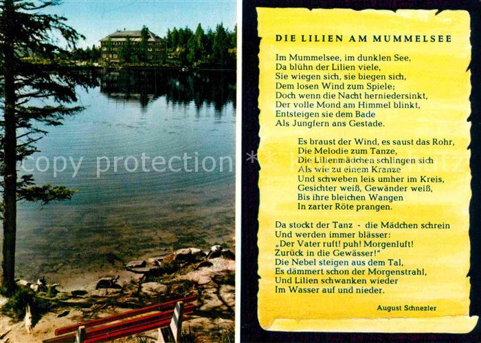 Liederkarte Die Lilien am Mummelsee August Schnezler