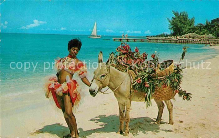 Jamaica Beach One of the stars of the native floor shows with Charlie