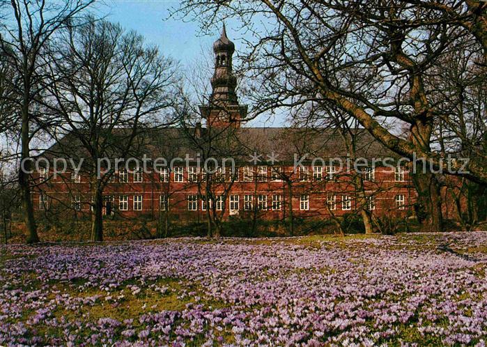Husum Nordfriesland Krokusbluete im Husumer Schlosspark