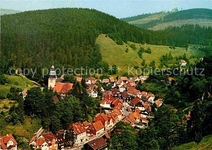 Wildemann Fliegeraufnahme