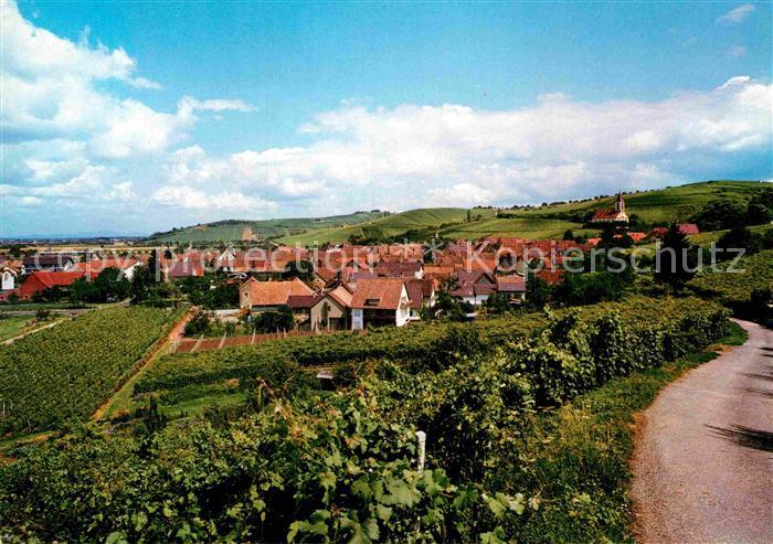 Auggen Markgraeflerland Panorama