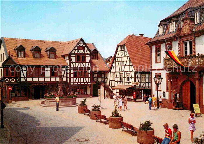 Michelstadt Markt Brunnen