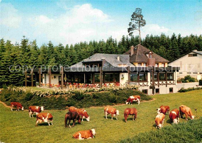 Bad Duerrheim WaldCafe Kuehe