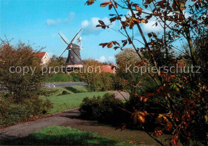 Esens Peldemuehle mit Stadtpark