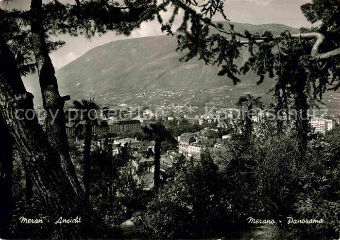 Meran Merano Panorama