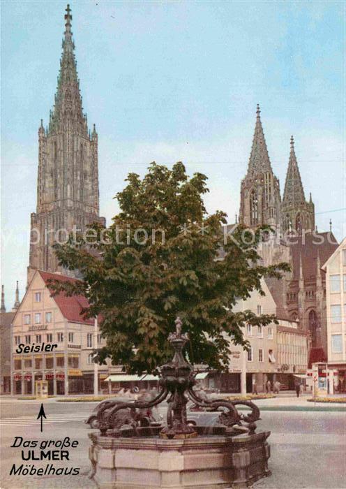 Ulm Donau Delphinbrunnen mit Muenster