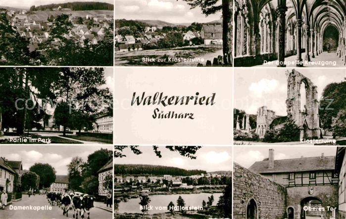 Walkenried Klosterruine Kreuzgang Park Damenkapelle Viehtrieb Hallenstein See Ob