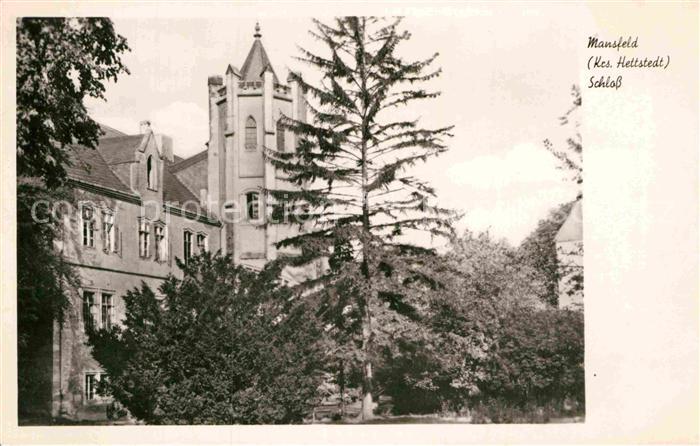 Mansfeld Suedharz Schloss