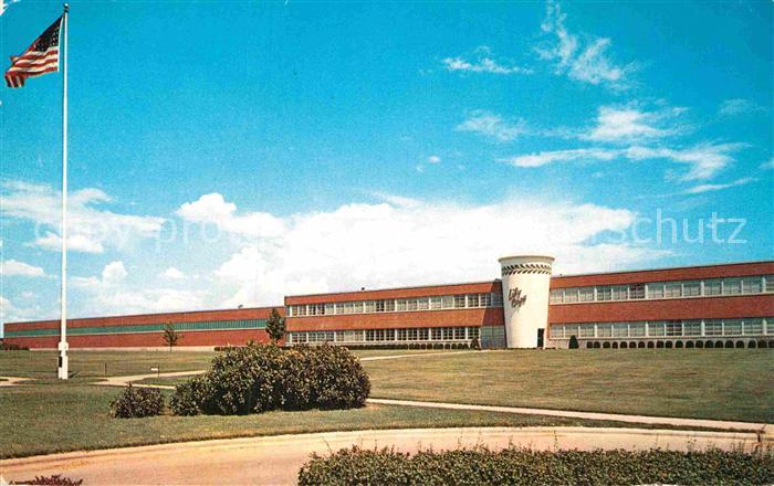 Springfield Minnesota Lily Cup Building Flag