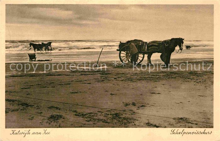 Katwijk aan Zee Schelpenvisschers Muschselfischer Pferdewagen
