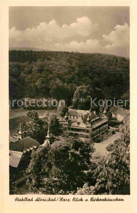 Alexisbad Harz Fliegeraufnahme Blick vom Birkenhaeuschen