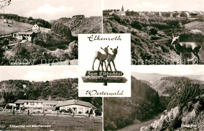 Elkenroth Maerchenwald Elbbachtal