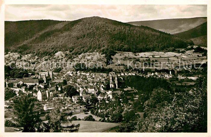 Amorbach Miltenberg Panorama