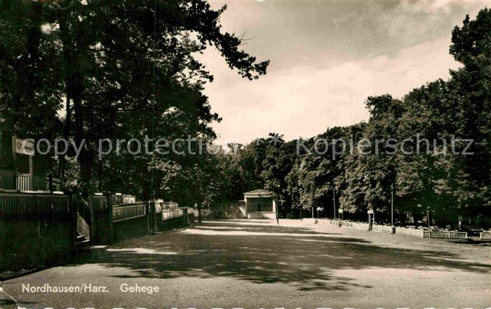 Nordhausen Thueringen Gehege