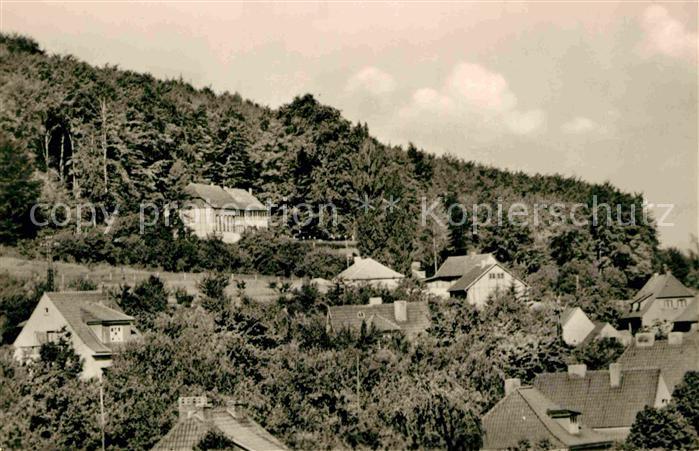 Bleicherode Waldhaus Japan