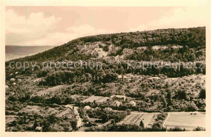 Bleicherode Vogelbergklippen Waldschloesschen