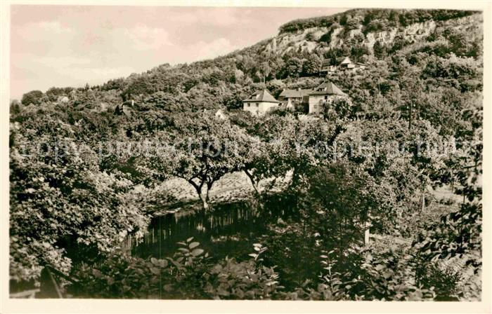 Bleicherode Vogelbergklippen Waldschloesschen