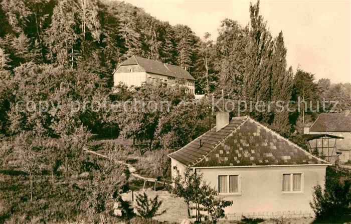 Bleicherode Waldhaus Japan