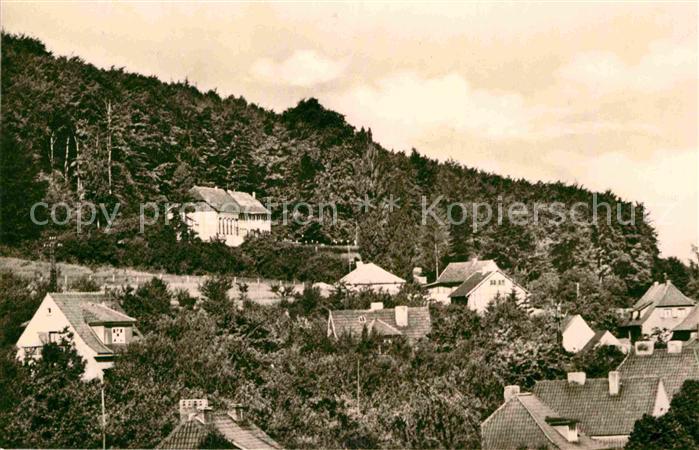 Bleicherode Waldhaus Japan