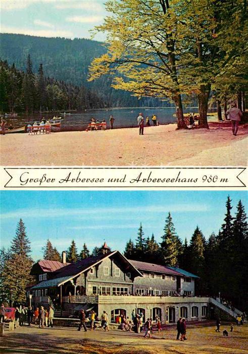 Regen Grosser Arbersee Arberseehaus