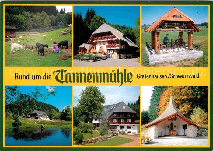 Grafenhausen Schwarzwald Schwarzwaldgasthof Tannenmuehle