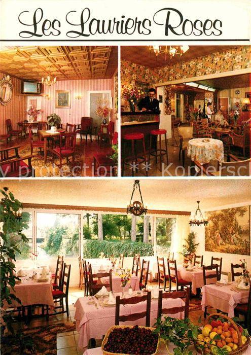 Bourbonne-les-Bains Hotel Les Lauriers Roses