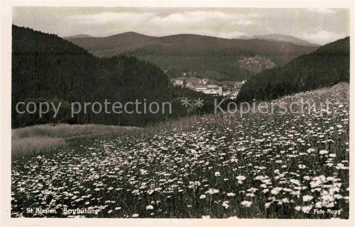 St Blasien Bergfruehling im Schwarzwald