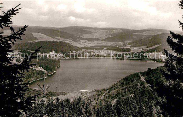 Titisee Panorama Schwarzwald