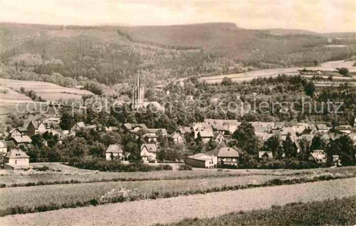 Koenigsee Thueringen Panorama Blick zum Stadtwald