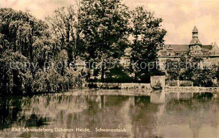 Bad Schmiedeberg Schwanenteich
