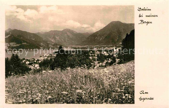 Tegernsee Blumenwiese Alpenpanorama
