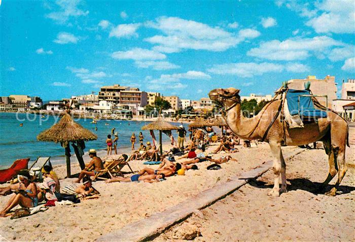 Can Pastilla Palma de Mallorca Playa Strand Kamel