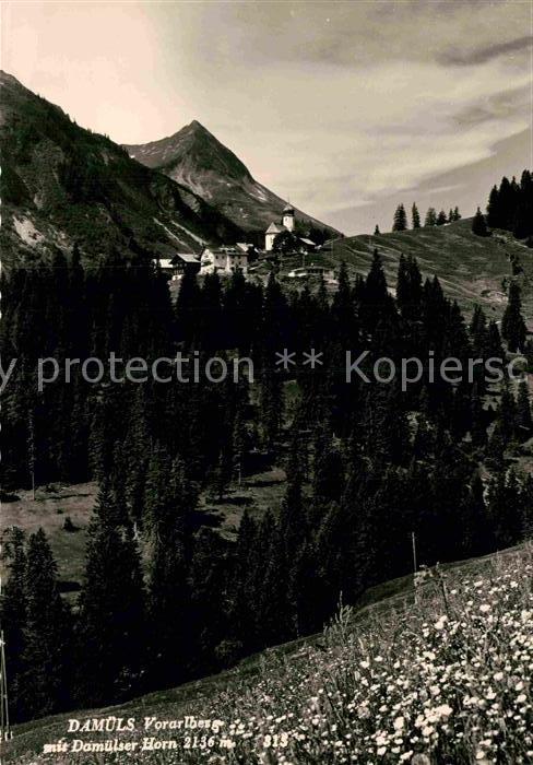 Damuels Vorarlberg Panorama mit Damuelser Horn Bergwiese