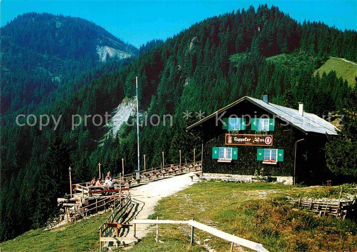 Nesselwang Kappeler Alp Allgaeuer Alpen