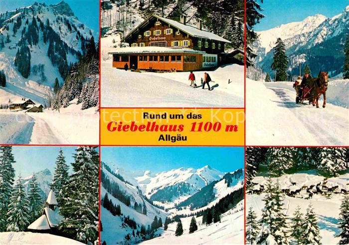 Hindelang Rund um das Giebelhaus Winterpanorama Allgaeuer Alpen Pferdeschlitten