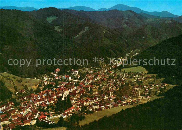 Sulzburg Freiburg Schwarzwald Fliegeraufnahme