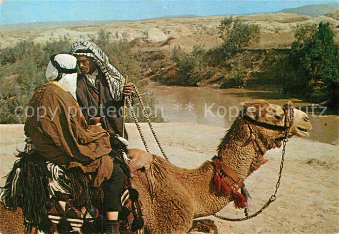Kamel  Camel Chameau Jordan River