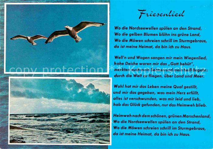 Liederkarte Friesenlied Moewen