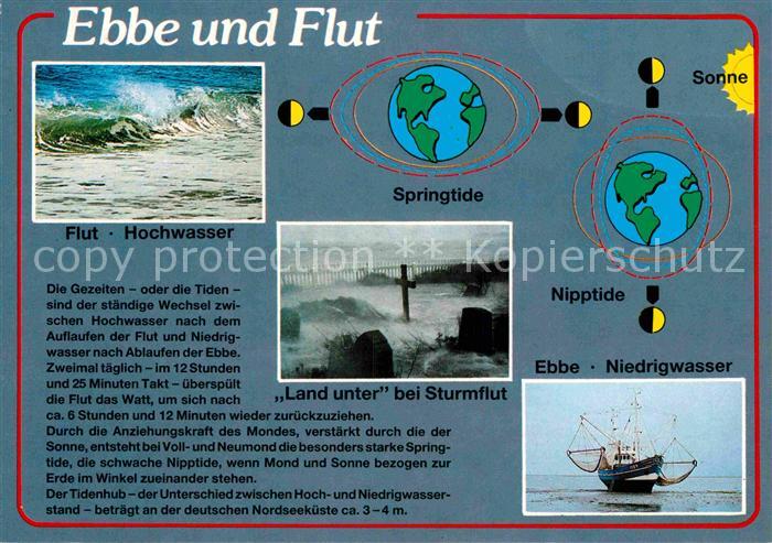 Wissenschaft Science Ebbe und Flut Springtide Nipptide