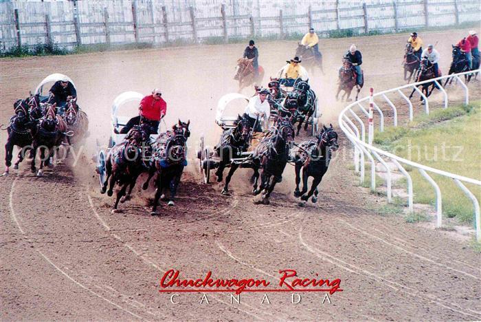 Pferdesport Pferderennen Reitsport Chuckwagon Racing Canada