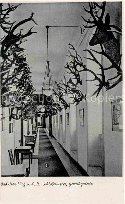 Bad Homburg Schloss Geweihgalerie