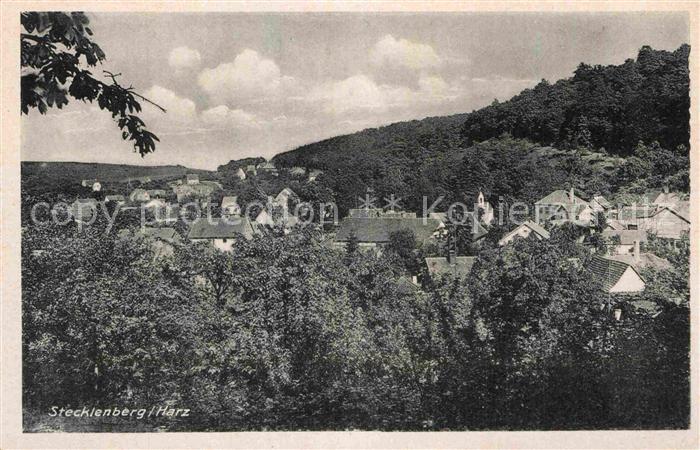 Stecklenberg Panorama