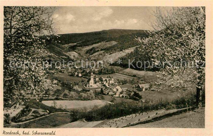 Nordrach Panorama Schwarzwald Baumbluete