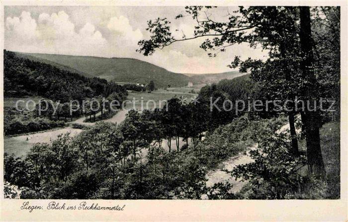 Siegen Westfalen Panorama Blick ins Reckhammertal
