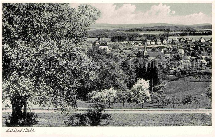 Waldbroel Panorama Baumbluete